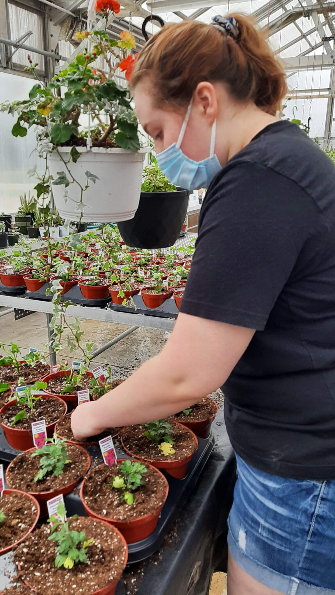 A student working in the greenhouse.