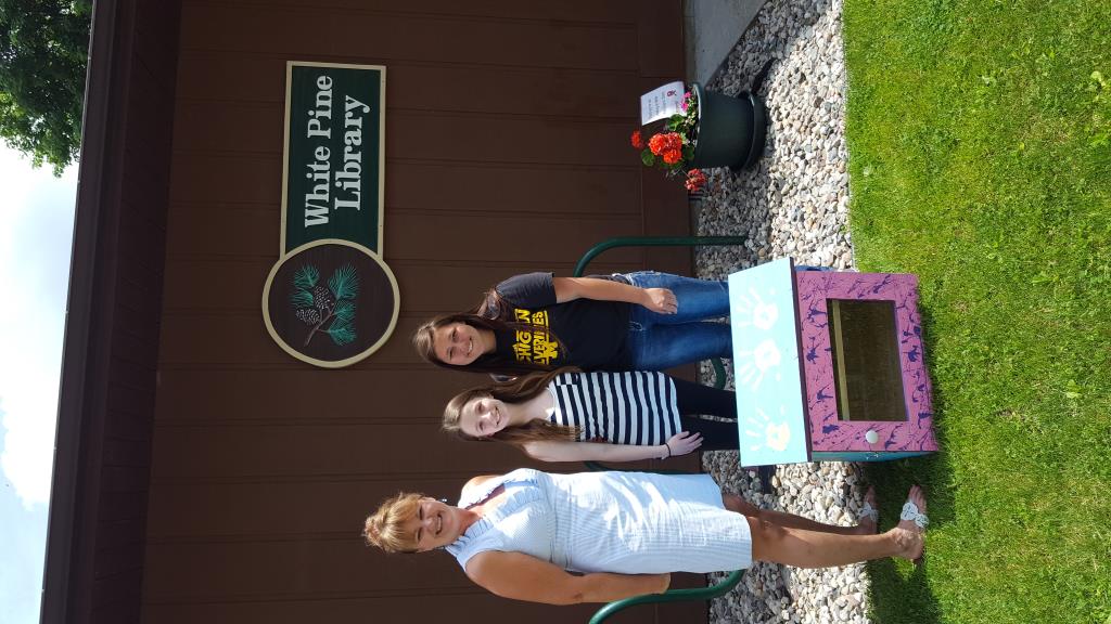 The Little Free Library donated to the White Pine Library.