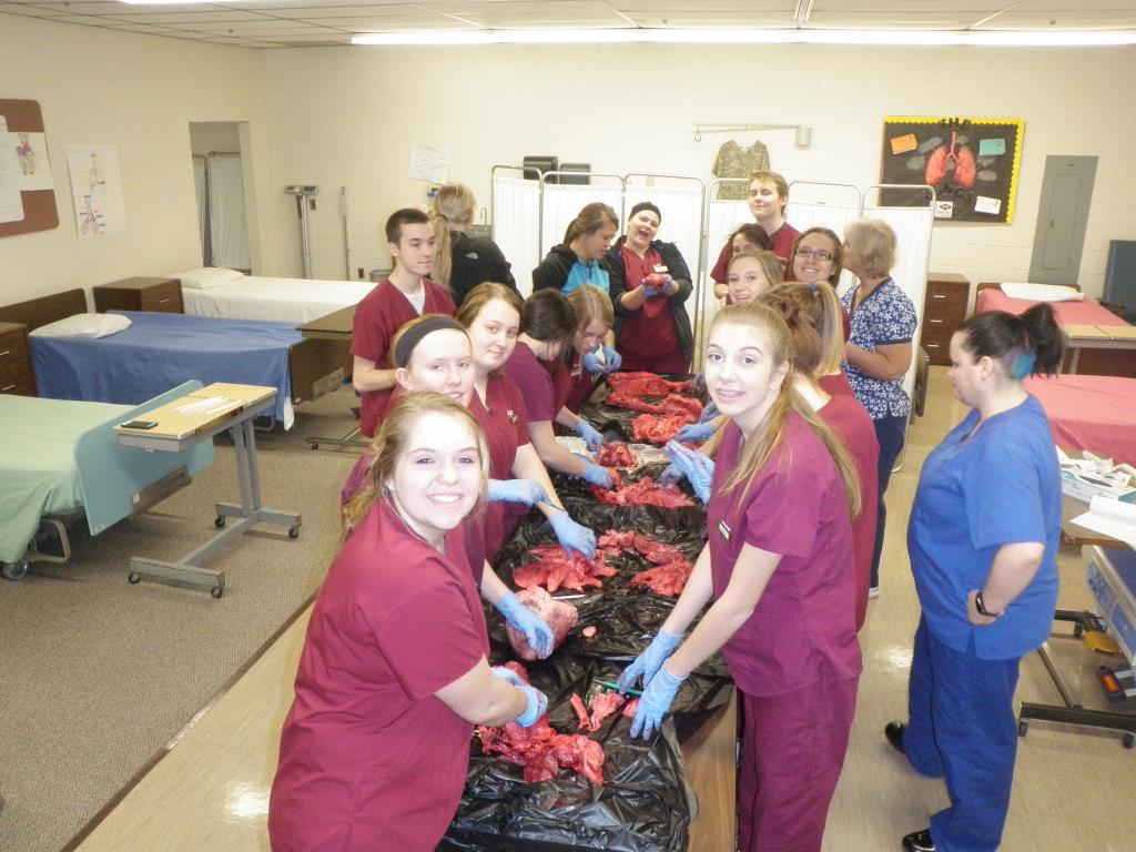 A dissection in health class.