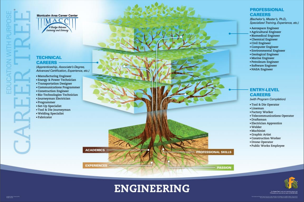 A picture of the engineering career tree showing jobs in entry level, technical, and professional areas.