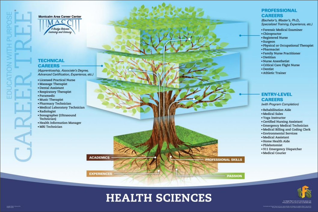A picture of the health science career tree showing jobs in entry level, technical, and professional areas.
