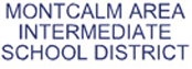 MAISD Text Logo