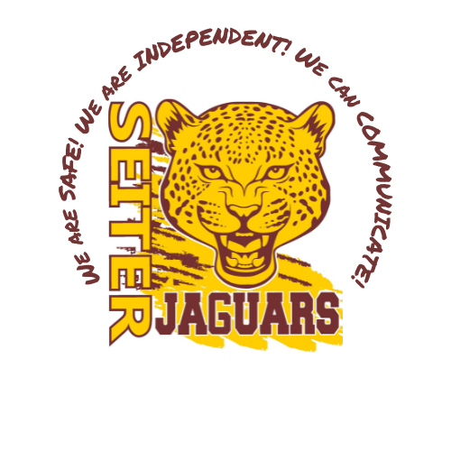 Seiter Center Jaguar Logo